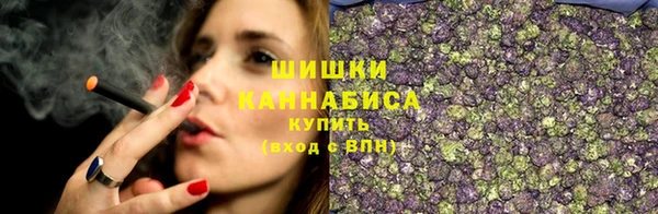 PSILOCYBIN Аркадак