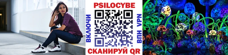 Купить  Болгар  Галлюциногенные грибы Psilocybine cubensis 