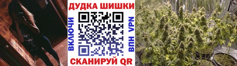 Купить где  Болгар  Бошки марихуана SATIVA & INDICA 